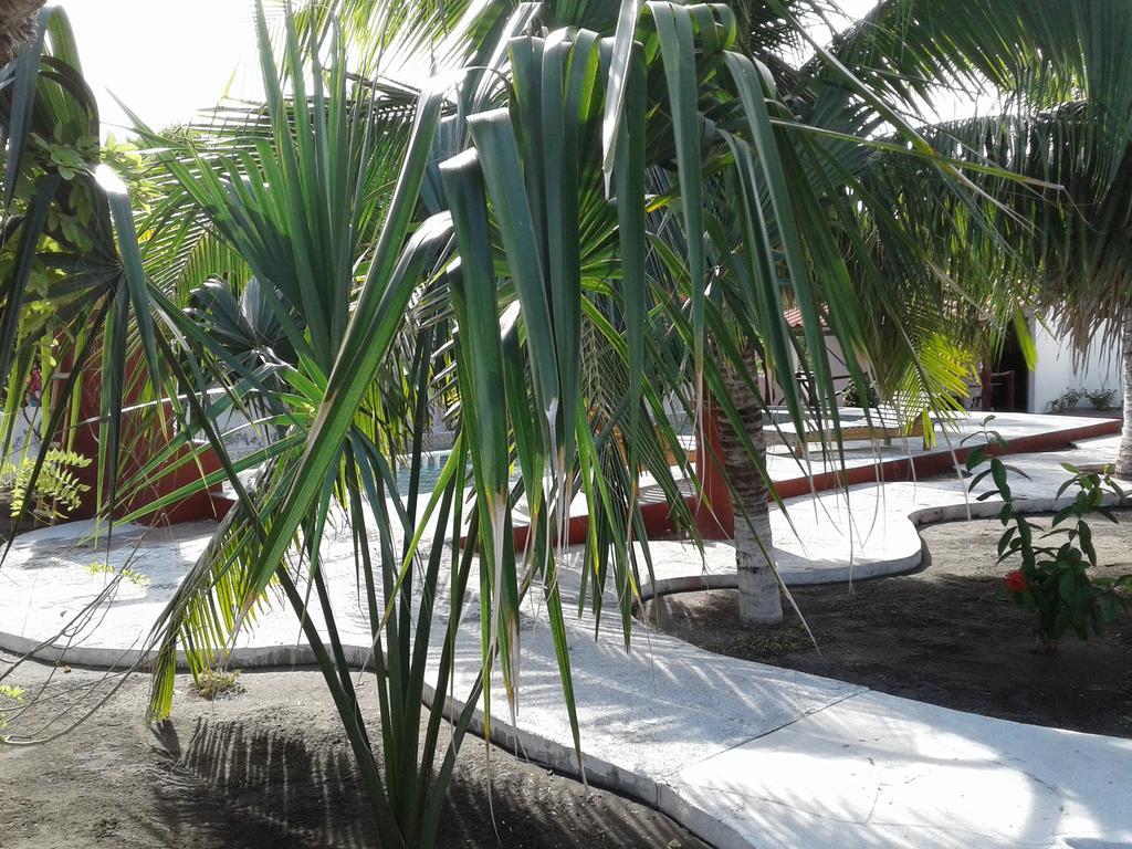 Bungalows Familiares Monterrico Ngoại thất bức ảnh